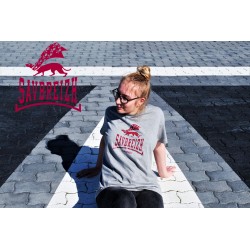 T-shirt gris Savbreizh...